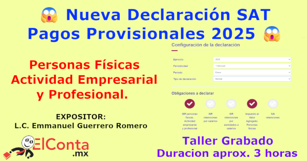 Declaración Pagos Provisionales 2025 para Personas Físicas Actividad Empresarial y Profesional -Taller Práctico