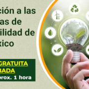 2025 09 09 NIS Mexico grabada 600
